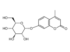 38596-12-5, 4-甲基傘形酮-a-D-葡萄糖苷,4-MU-alpha-D-glucoside, CAS:38596-12-5