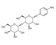 17691-02-0 ,對氨基苯基-beta-D-乳糖苷, 4-Aminophenyl b-D-lactopyranoside, CAS:17691-02-0