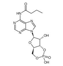 13117-60-7 , monobutyryl cyclic AMP, N6-單丁酰基腺苷-3,5-環(huán)單磷酸, CAS:13117-60-7