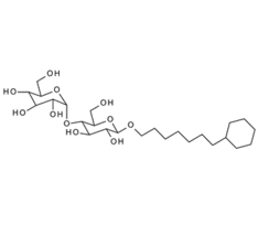 349477-49-2 ,7-環己基-1-庚基-b-D-麥芽糖苷,7-Cyclohexylheptyl-4-O-(a-D-glucopyranosyl)-b-D-glucopyranoside; CYMAL-7