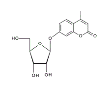 195385-93-4 , 4-甲基傘形酮基β-D-呋喃核糖苷, 4-Methylumbelliferyl b-D-ribofuranoside