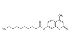 66185-70-4 ,4-甲基傘形基癸酸酯, 4-Methylumbelliferyl decanoate; Decanoic acid 4-methyl-2-oxo-2H-1-benzopyran-7-yl ester