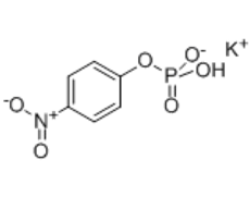 208651-58-5 ,4-硝基苯基磷酸鉀鹽, pNP-Phos K;4-Nitrophenyl phosphate potassium salt