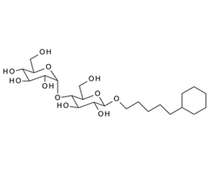 250692-65-0 ,5-環己基戊基-β-D-麥芽糖苷, 5-Cyclohexylpentyl-b-D-maltoside